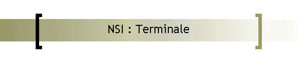 NSI : Terminale